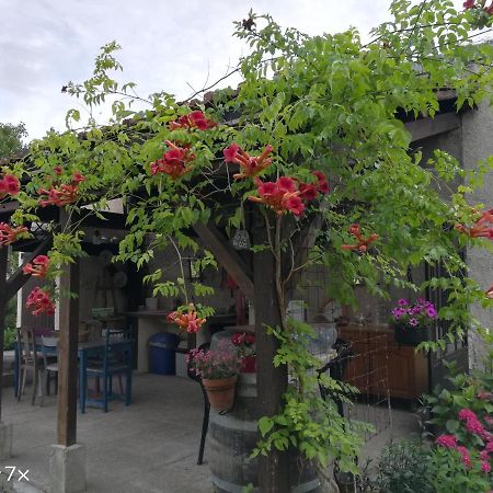 Le Coq En Pate Bed and Breakfast Romilly-sur-Seine Εξωτερικό φωτογραφία