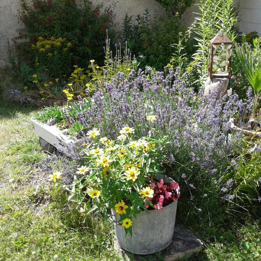 Le Coq En Pate Bed and Breakfast Romilly-sur-Seine Εξωτερικό φωτογραφία